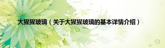大猩猩玻璃（关于大猩猩玻璃的基本详情介绍）
