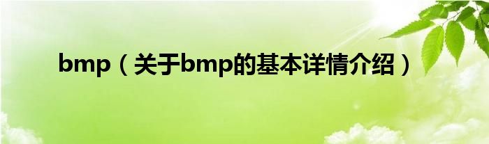 bmp（关于bmp的基本详情介绍）