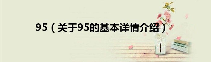 95（关于95的基本详情介绍）