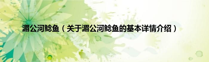 湄公河鲶鱼（关于湄公河鲶鱼的基本详情介绍）