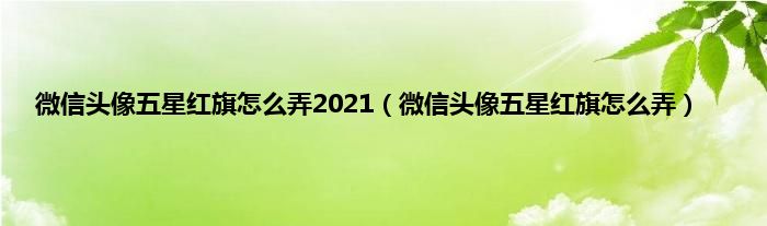 微信头像五星红旗怎么弄2021（微信头像五星红旗怎么弄）