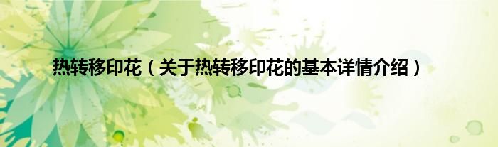 热转移印花（关于热转移印花的基本详情介绍）