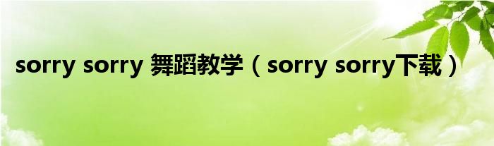 sorry sorry 舞蹈教学（sorry sorry下载）