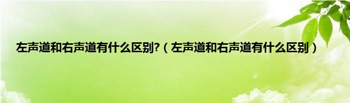 左声道和右声道有什么区别?（左声道和右声道有什么区别）