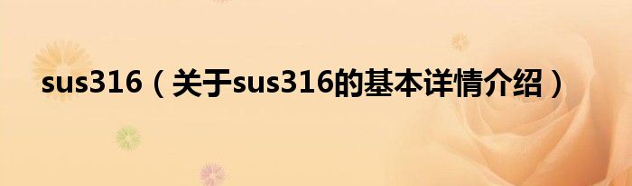 sus316（关于sus316的基本详情介绍）