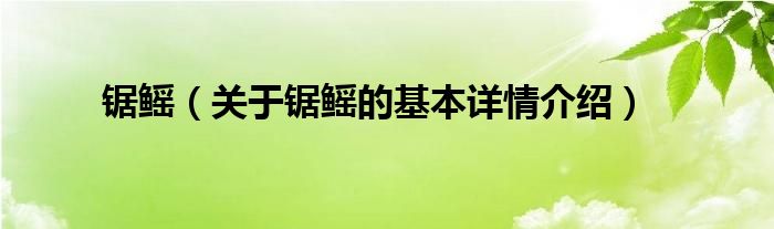 锯鳐（关于锯鳐的基本详情介绍）