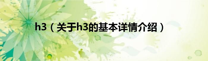 h3（关于h3的基本详情介绍）