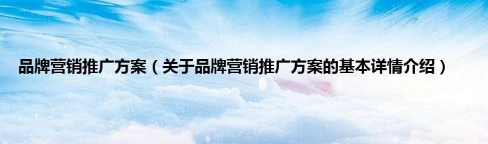 品牌营销推广方案(关于品牌营销推广方案的基本详情介绍)