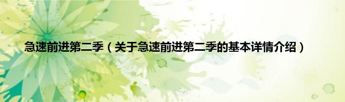 急速前进第二季(关于急速前进第二季的基本详情介绍)