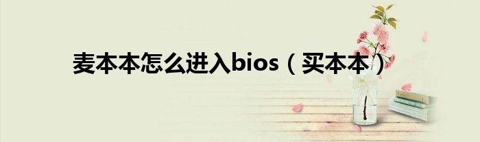 麦本本怎么进入bios（买本本）