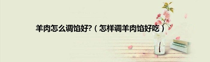 羊肉怎么调馅好?（怎样调羊肉馅好吃）