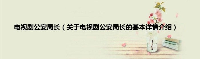 电视剧公安局长（关于电视剧公安局长的基本详情介绍）