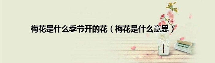 梅花是什么季节开的花（梅花是什么意思）