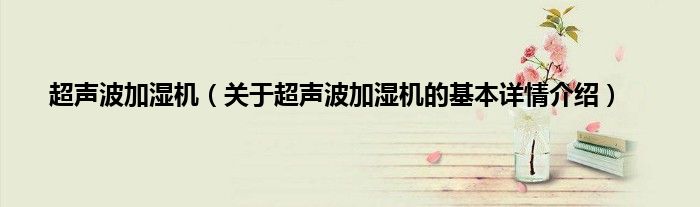 超声波加湿机（关于超声波加湿机的基本详情介绍）