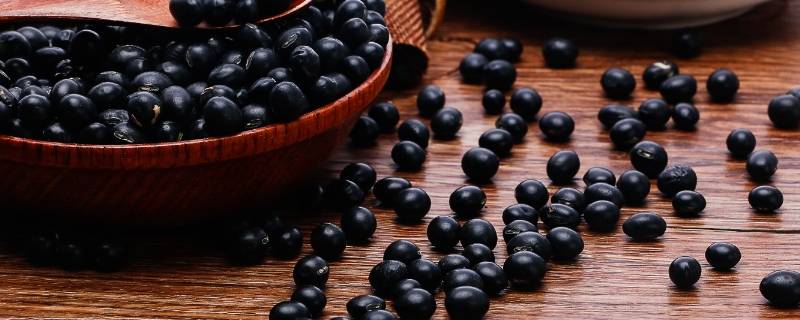 黑豆的功效与作用