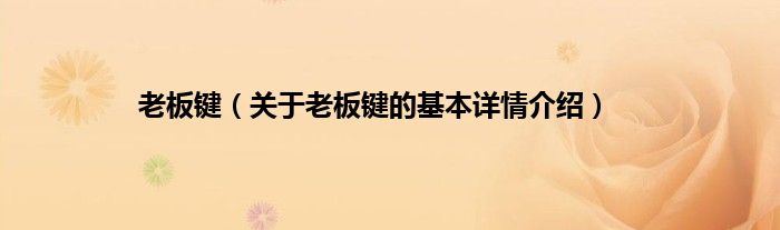 老板键（关于老板键的基本详情介绍）