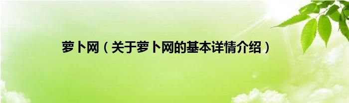 萝卜网（关于萝卜网的基本详情介绍）