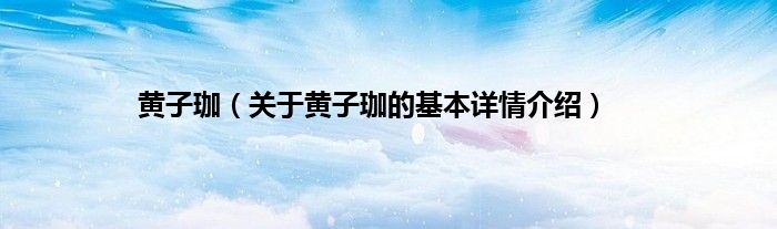 黄子珈（关于黄子珈的基本详情介绍）