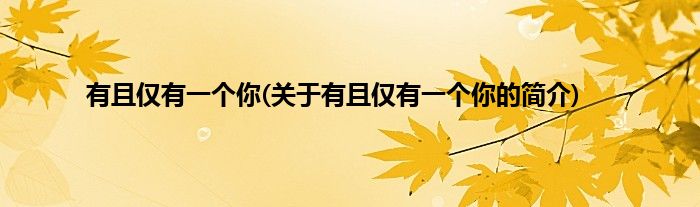 有且仅有一个你(关于有且仅有一个你的简介)