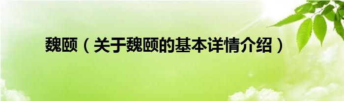 魏颐（关于魏颐的基本详情介绍）