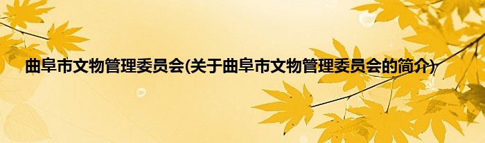 曲阜市文物管理委员会(关于曲阜市文物管理委员会的简介)