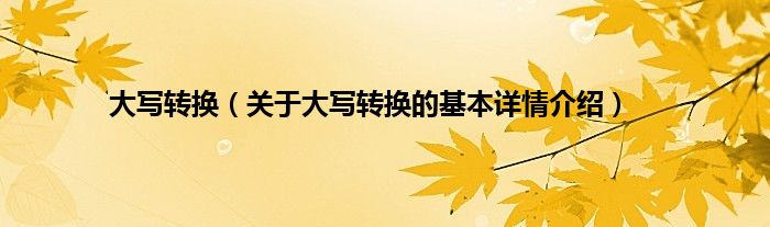 大写转换（关于大写转换的基本详情介绍）