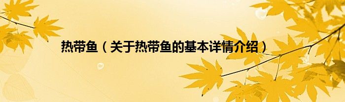 热带鱼（关于热带鱼的基本详情介绍）