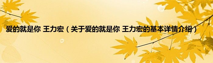 爱的就是你 王力宏（关于爱的就是你 王力宏的基本详情介绍）