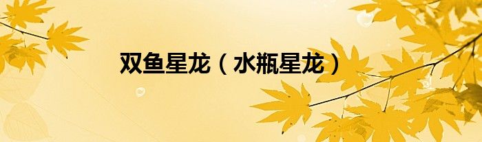 双鱼星龙（水瓶星龙）