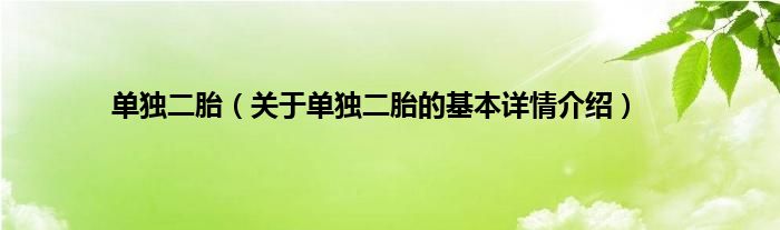单独二胎（关于单独二胎的基本详情介绍）