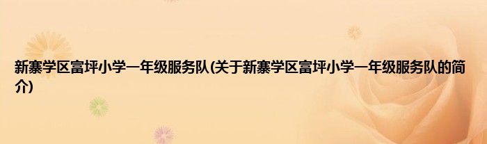新寨学区富坪小学一年级服务队(关于新寨学区富坪小学一年级服务队的简介)