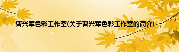 曹兴军色彩工作室(关于曹兴军色彩工作室的简介)