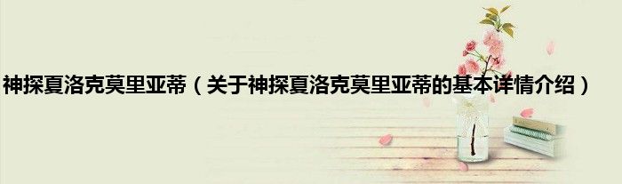神探夏洛克莫里亚蒂（关于神探夏洛克莫里亚蒂的基本详情介绍）