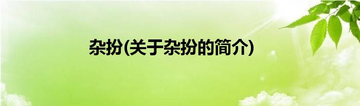 杂扮(关于杂扮的简介)