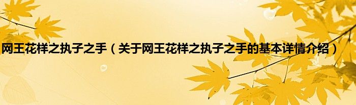 网王花样之执子之手（关于网王花样之执子之手的基本详情介绍）