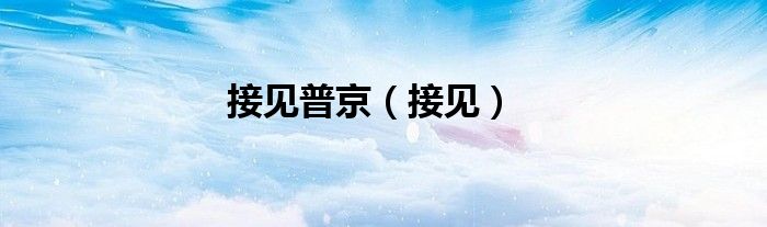 接见普京（接见）