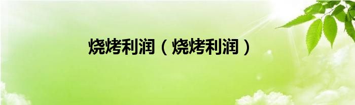 烧烤利润（烧烤利润）