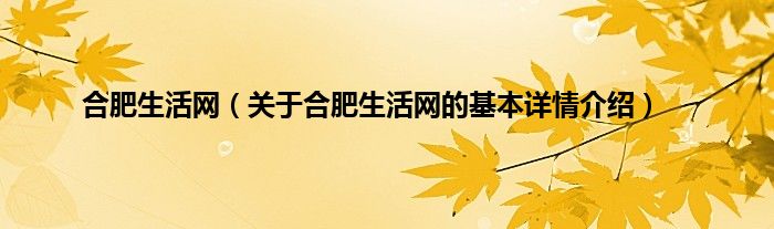 合肥生活网（关于合肥生活网的基本详情介绍）