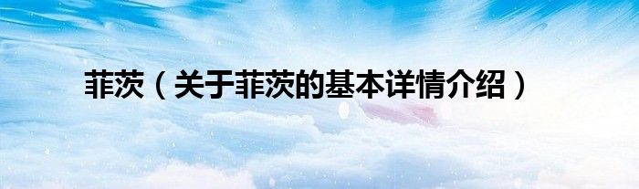 菲茨（关于菲茨的基本详情介绍）