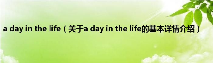a day in the life（关于a day in the life的基本详情介绍）