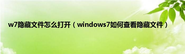 w7隐藏文件怎么打开（windows7如何查看隐藏文件）