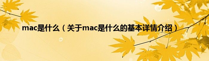 mac是什么（关于mac是什么的基本详情介绍）