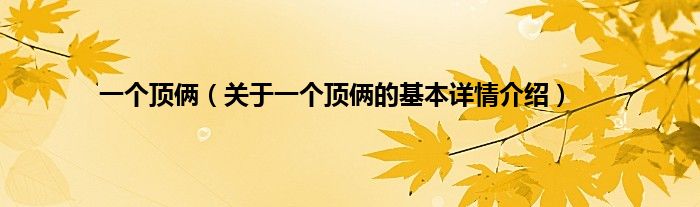 一个顶俩（关于一个顶俩的基本详情介绍）