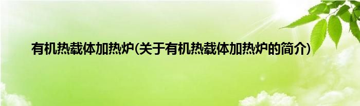 有机热载体加热炉(关于有机热载体加热炉的简介)