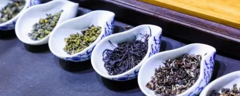 缅甸815是什么茶叶