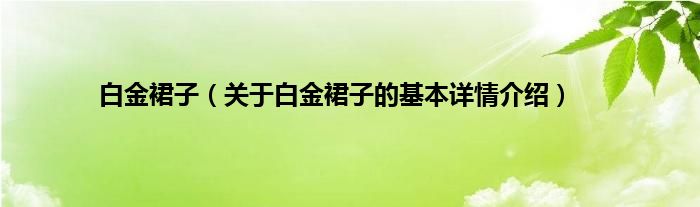 白金裙子（关于白金裙子的基本详情介绍）