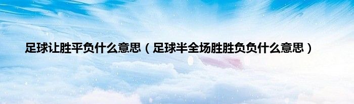 足球让胜平负什么意思（足球半全场胜胜负负什么意思）