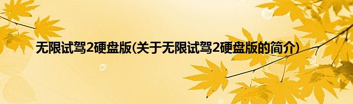 无限试驾2硬盘版(关于无限试驾2硬盘版的简介)