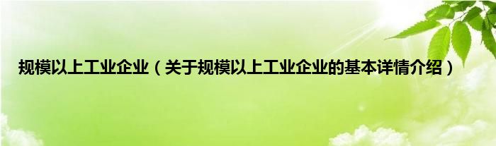 规模以上工业企业（关于规模以上工业企业的基本详情介绍）