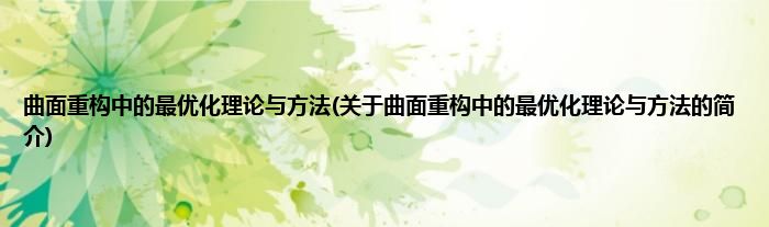 曲面重构中的最优化理论与方法(关于曲面重构中的最优化理论与方法的简介)